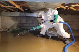 water damage untreataed nevada